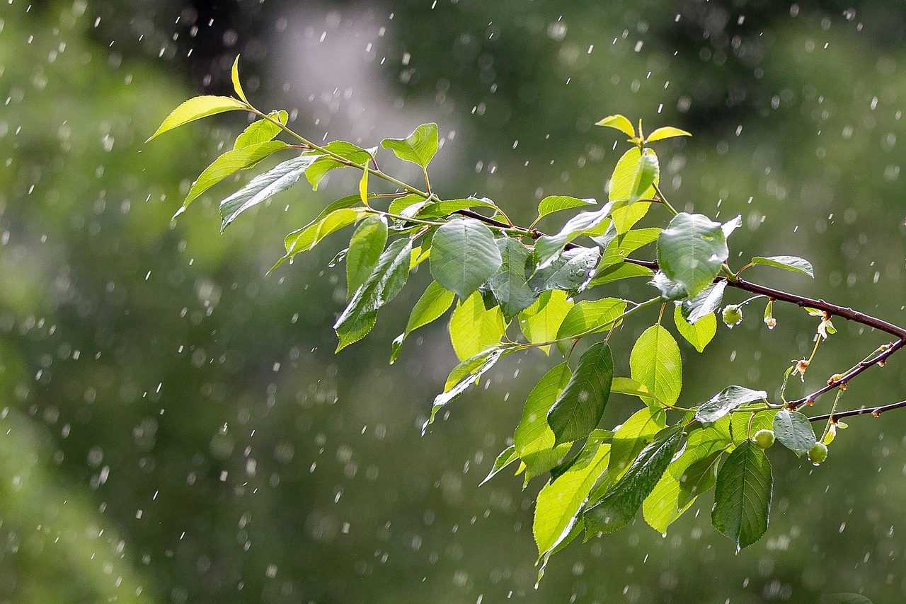 吉林暴雨预警，如何应对即将到来的暴雨天气