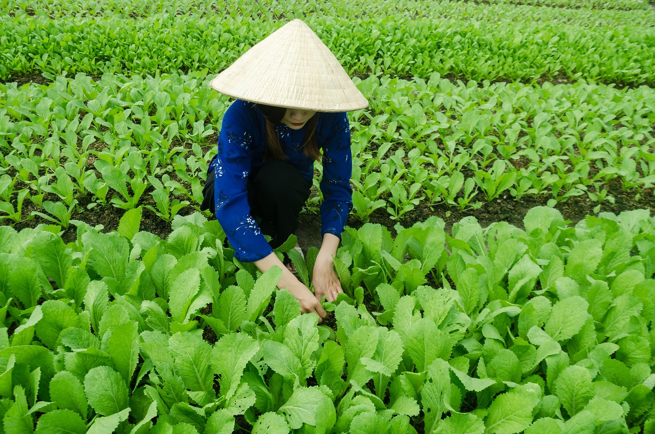 衡阳县最新发展动态概览