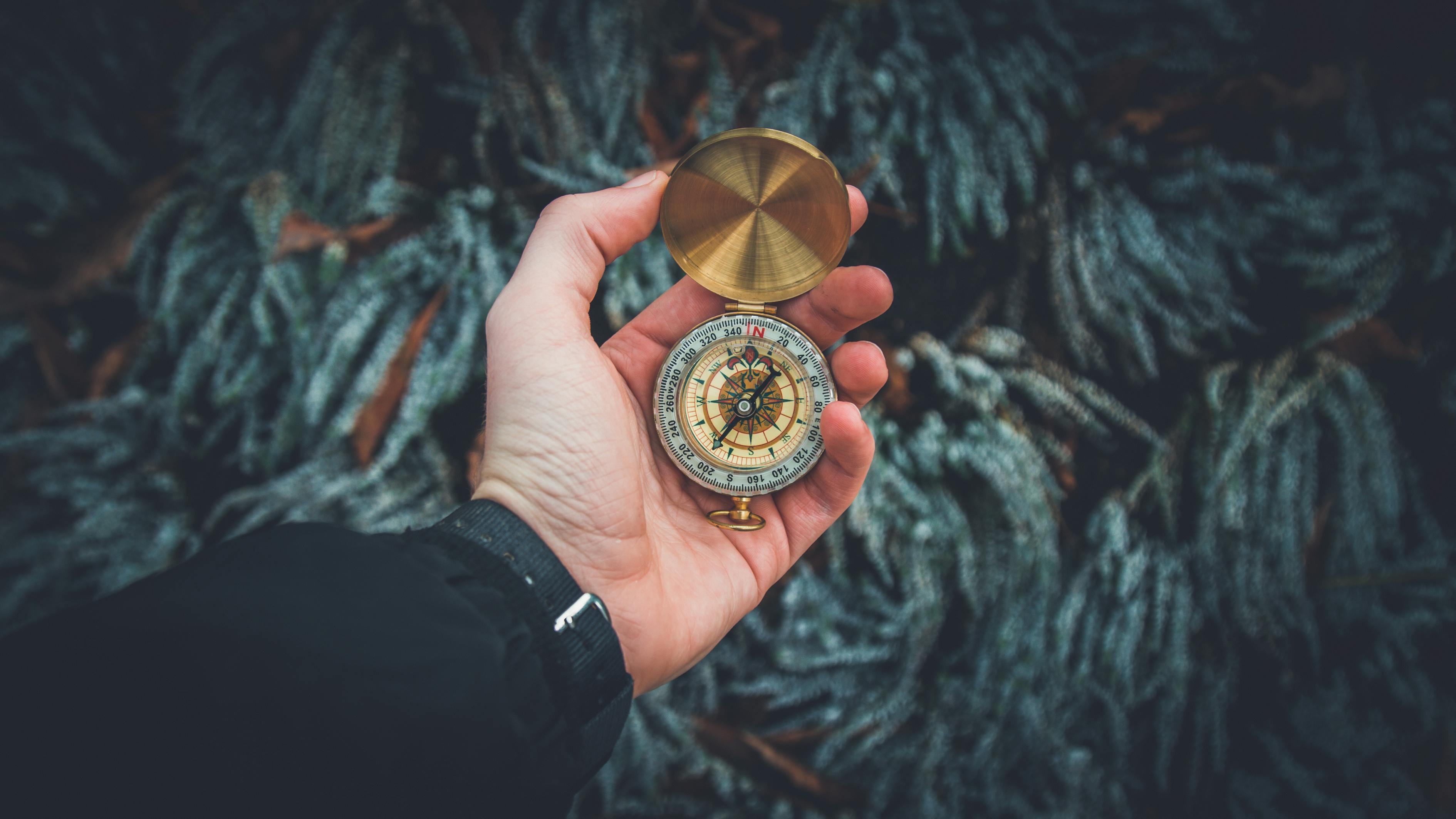 最新克金手游，探索游戏世界的全新冒险体验